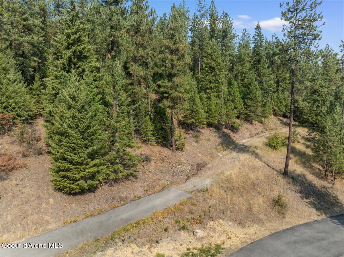 10795 West Bella Ridge Drive Coeur D'Alene, ID 83814 - Photo 3 of 55 20-10795 W Bella Ridge Dr