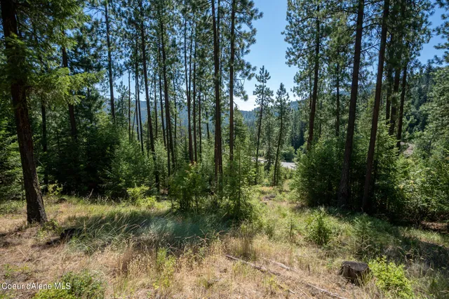 $359,950 | 10795 West Bella Ridge Drive, Coeur D'Alene, ID 83814