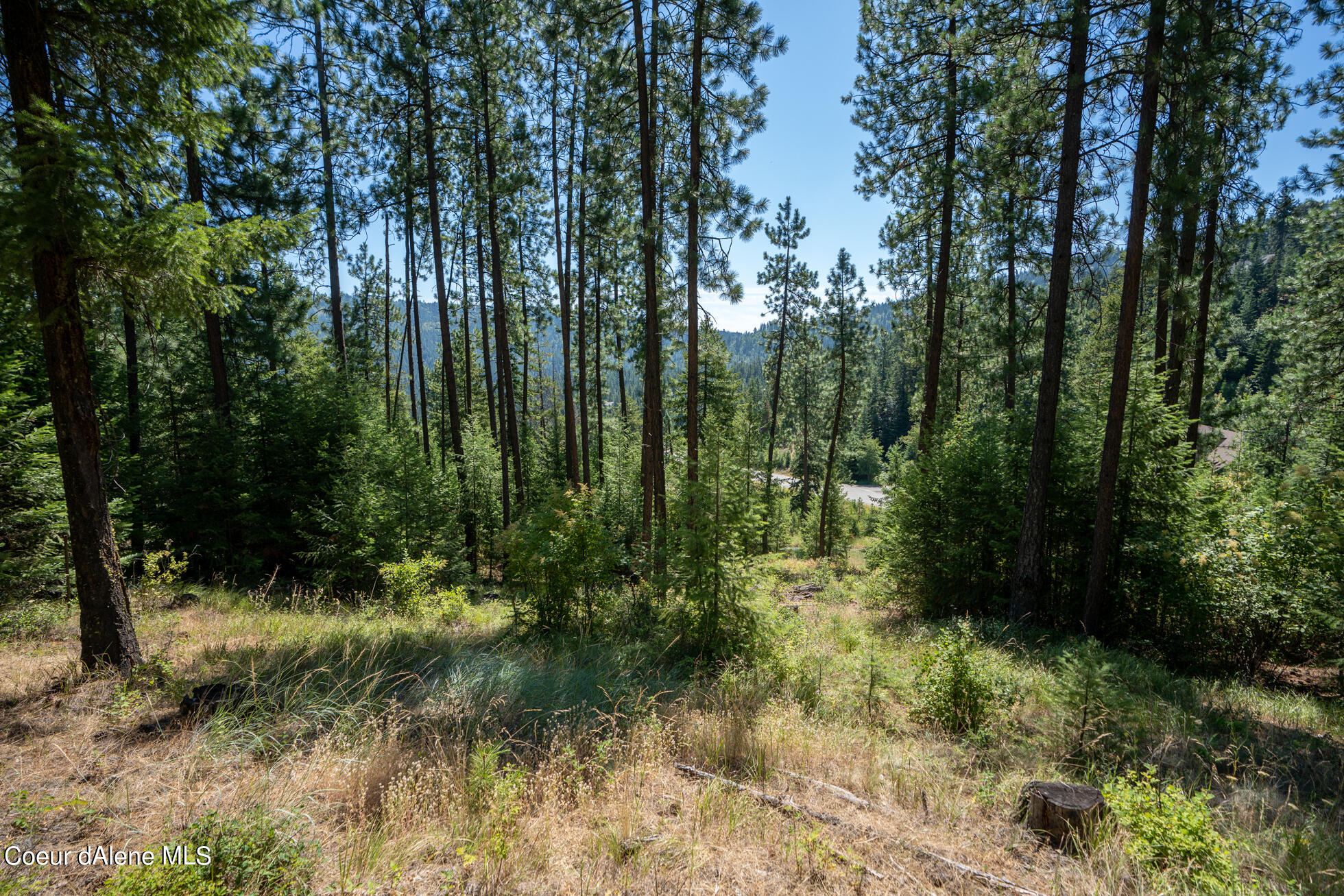 10795 West Bella Ridge Drive Coeur D'Alene, ID 83814 - Photo 31 of 55 Ext 14