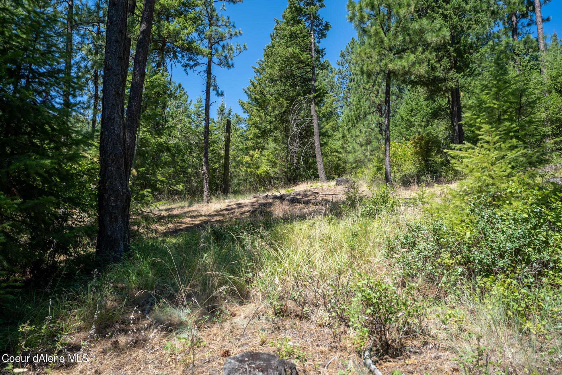 10795 West Bella Ridge Drive Coeur D'Alene, ID 83814 - Photo 33 of 55 Ext 9