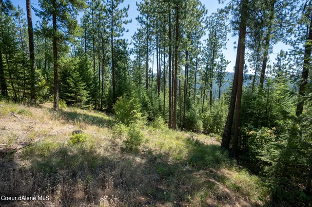 $359,950 | 10795 West Bella Ridge Drive, Coeur D'Alene, ID 83814