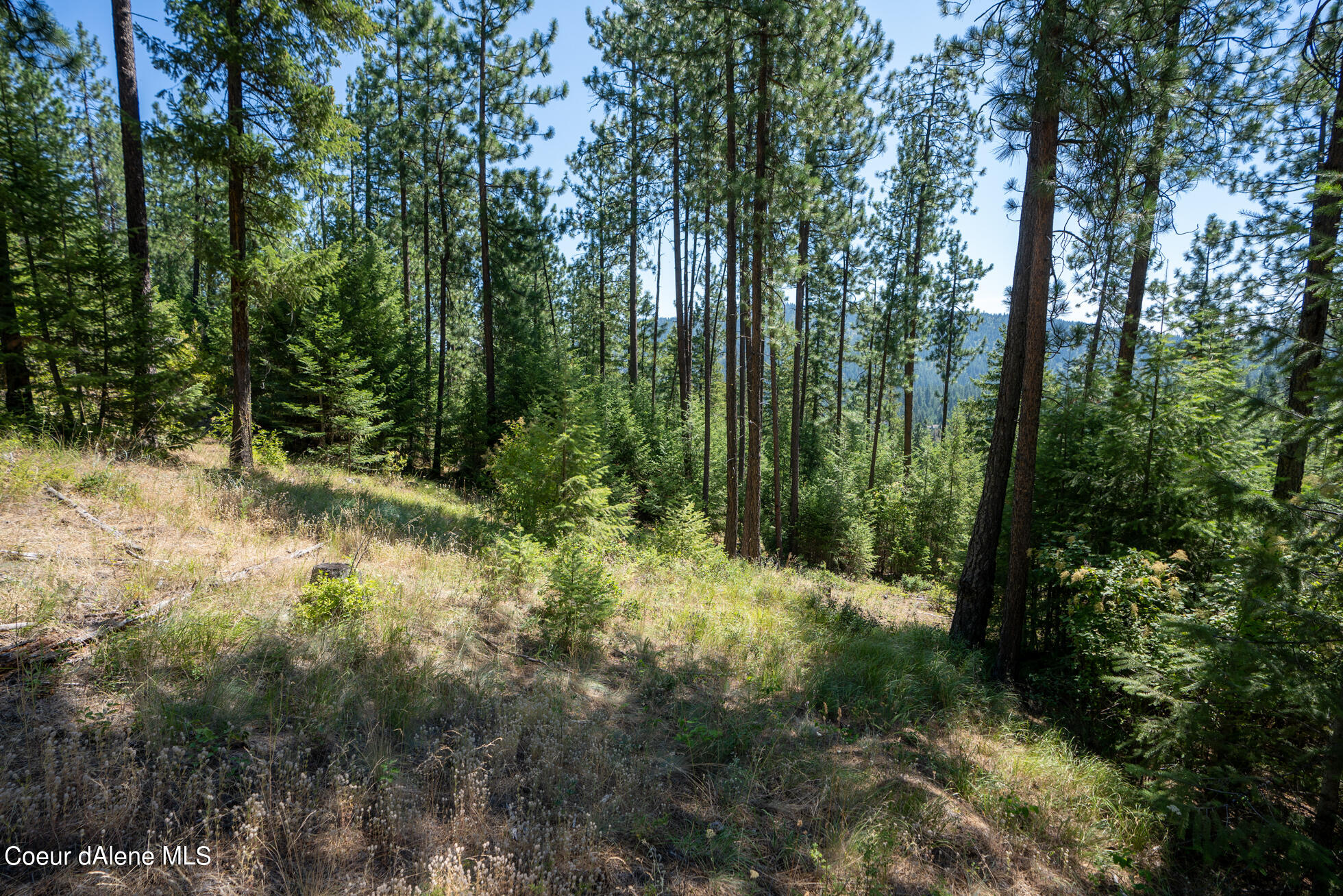 10795 West Bella Ridge Drive Coeur D'Alene, ID 83814 - Photo 34 of 55 Ext 12