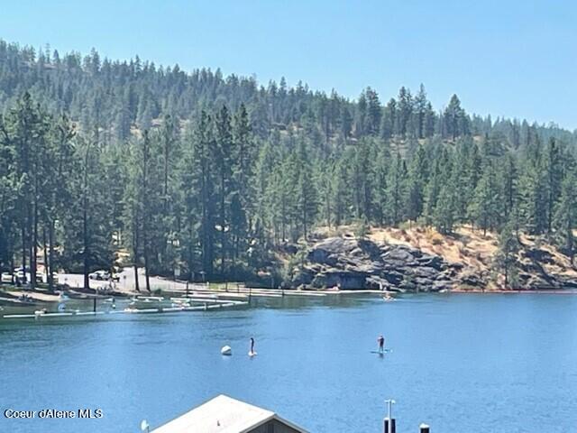 10795 West Bella Ridge Drive Coeur D'Alene, ID 83814 - Photo 40 of 55 Lifestyle 4