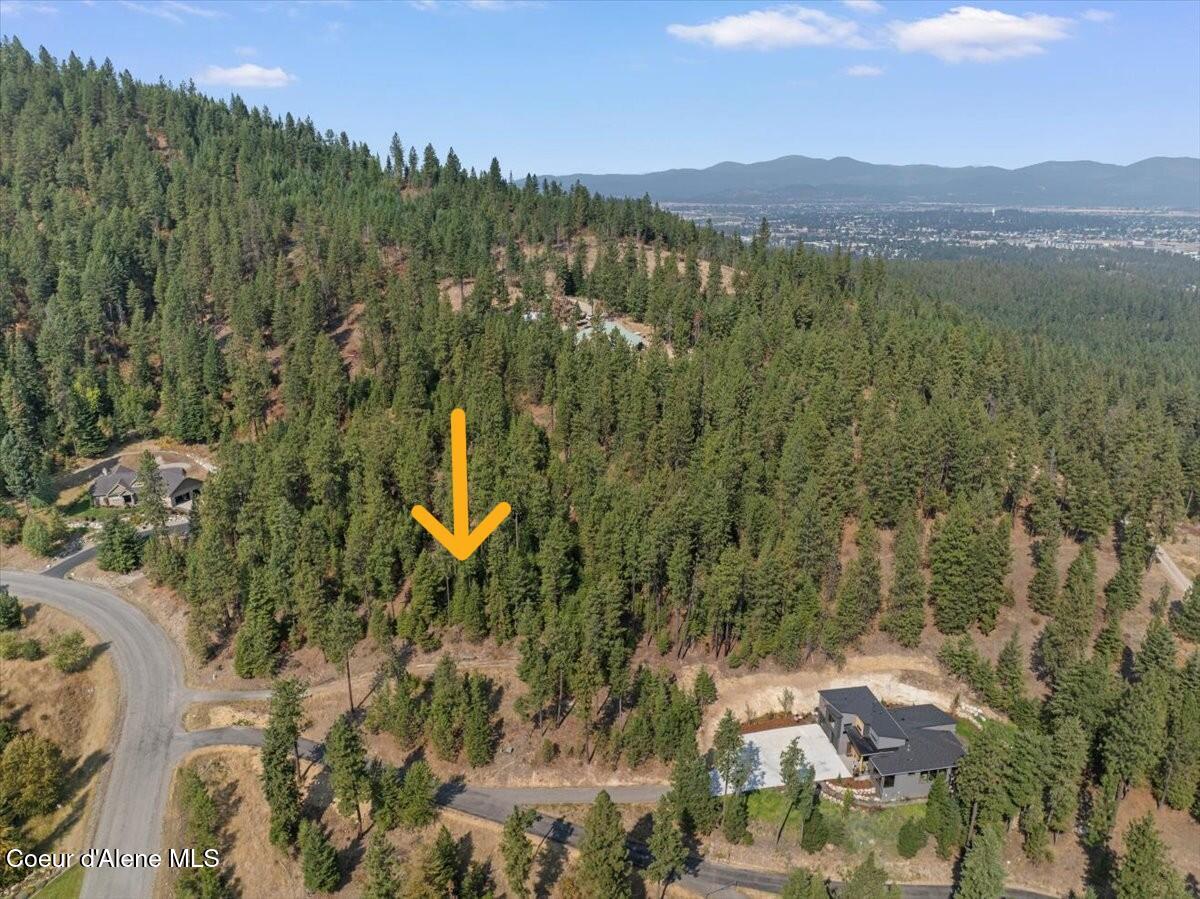 10795 West Bella Ridge Drive Coeur D'Alene, ID 83814 - Photo 4 of 55 13-10795 W Bella Ridge Dr MLS