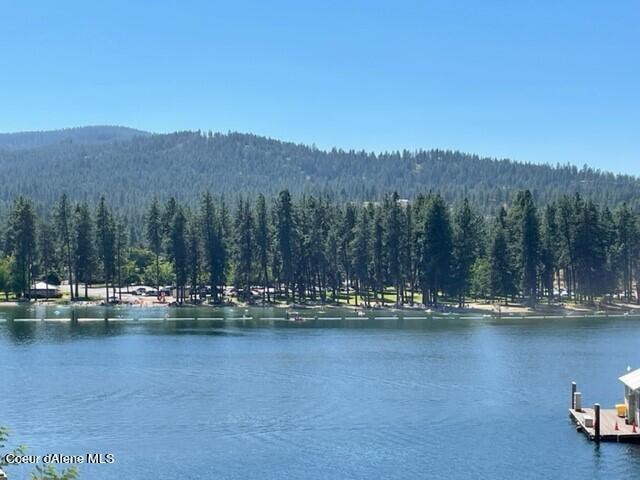 10795 West Bella Ridge Drive Coeur D'Alene, ID 83814 - Photo 41 of 55 Lifestyle 5