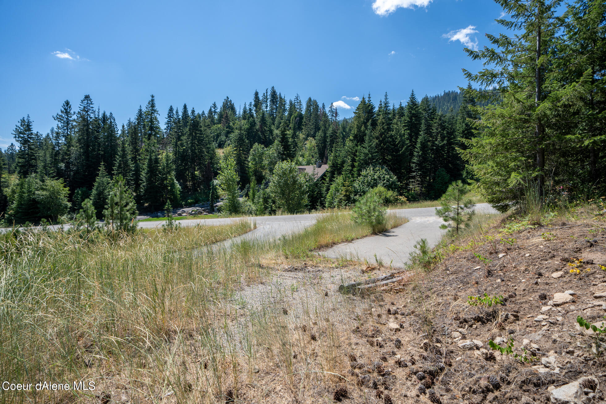 10795 West Bella Ridge Drive Coeur D'Alene, ID 83814 - Photo 6 of 55 Ext 5