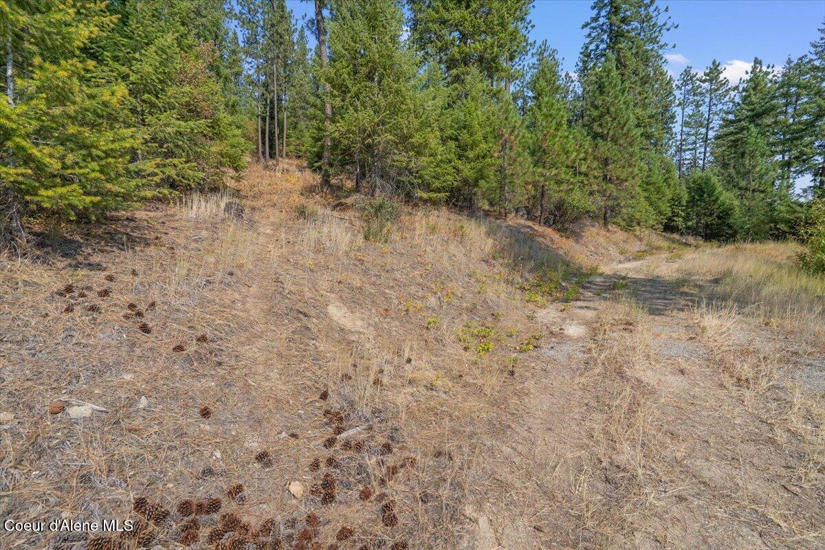 10795 West Bella Ridge Drive Coeur D'Alene, ID 83814 - Photo 7 of 55 06-10795 W Bella Ridge Dr 1