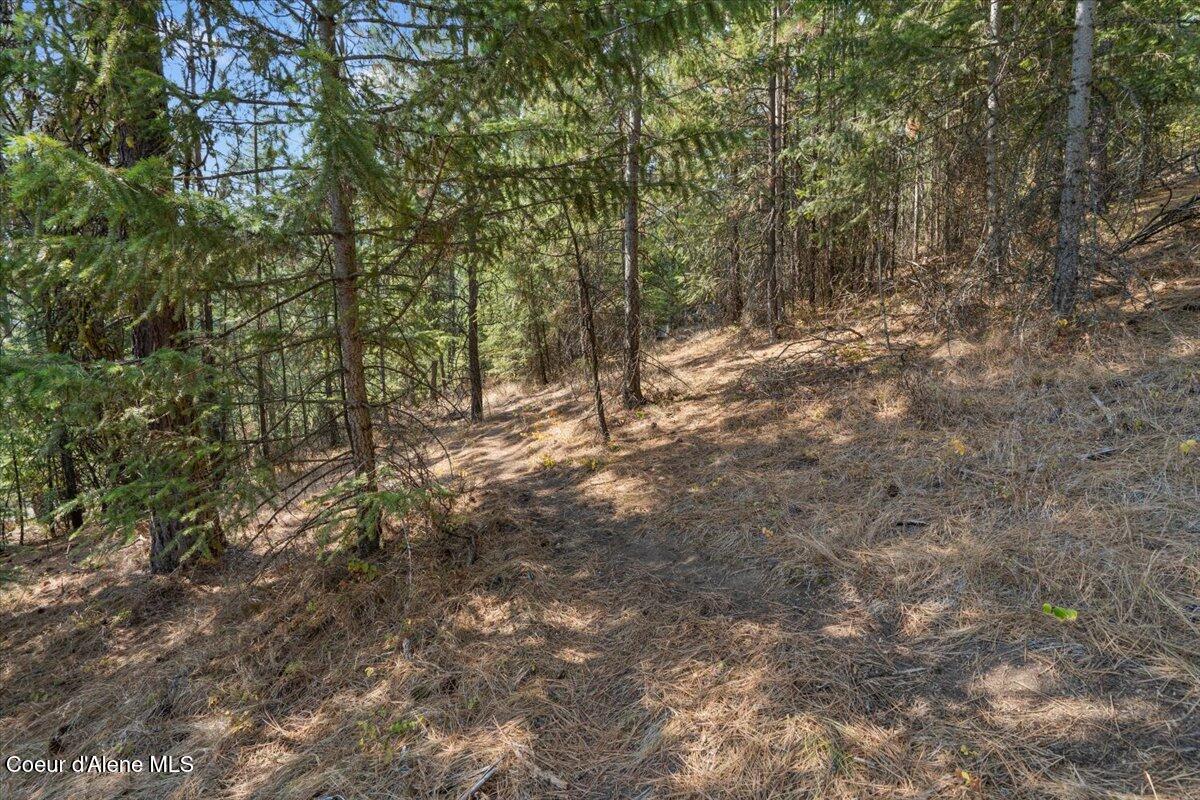 10795 West Bella Ridge Drive Coeur D'Alene, ID 83814 - Photo 8 of 55 05-10795 W Bella Ridge Dr