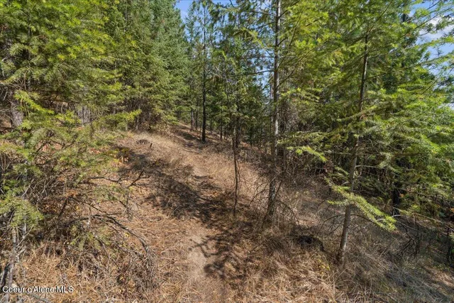 $359,950 | 10795 West Bella Ridge Drive, Coeur D'Alene, ID 83814