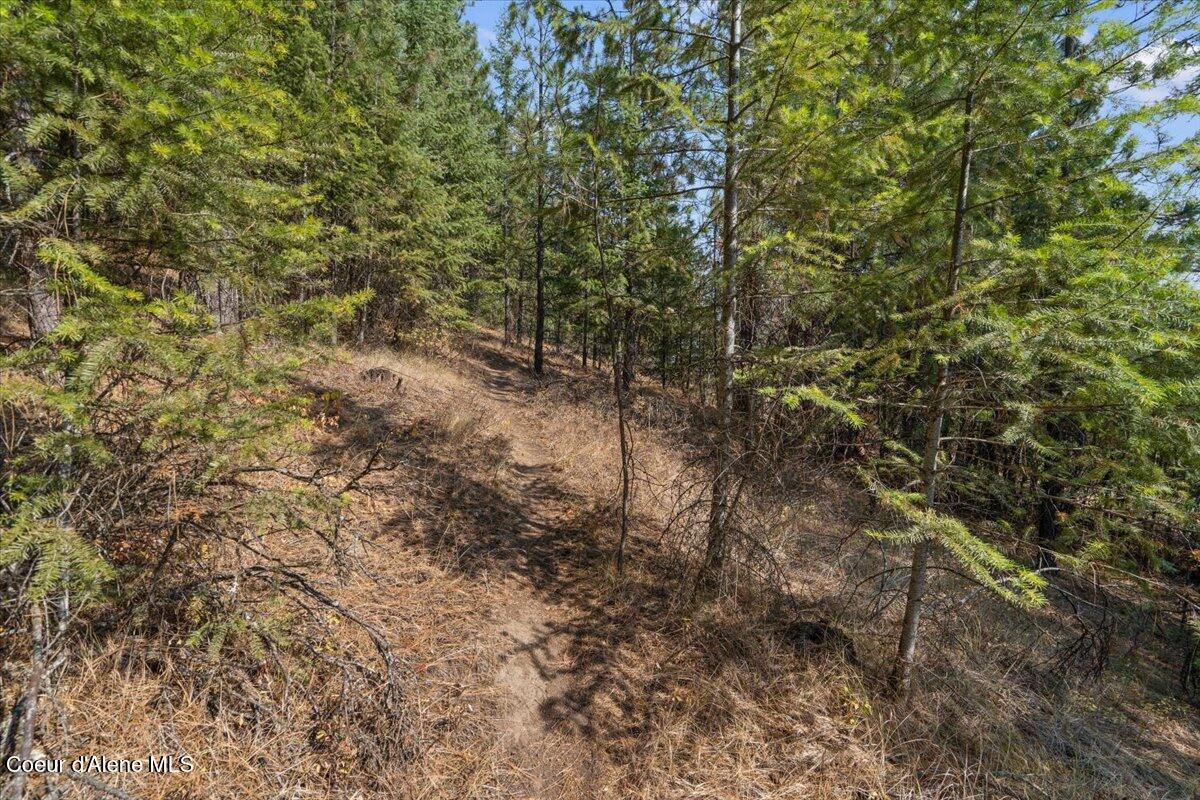 10795 West Bella Ridge Drive Coeur D'Alene, ID 83814 - Photo 9 of 55 04-10795 W Bella Ridge Dr