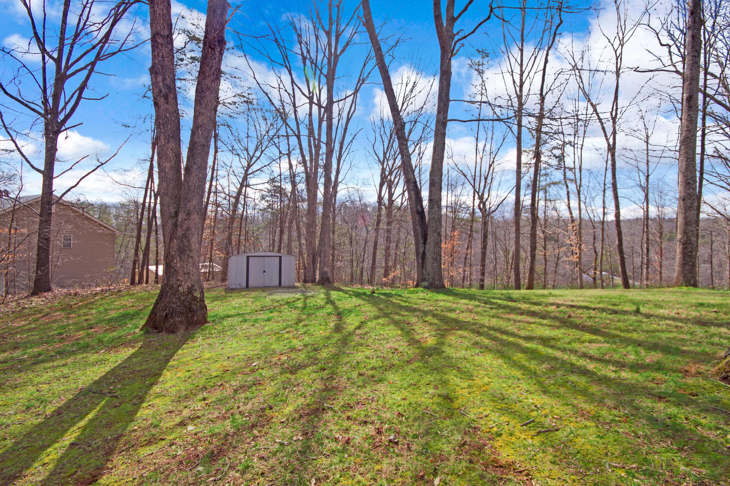 3355 Turner Branch Road Vinton, VA 24179 - Photo 42 of 58 a backyard of a house with a yard and large trees