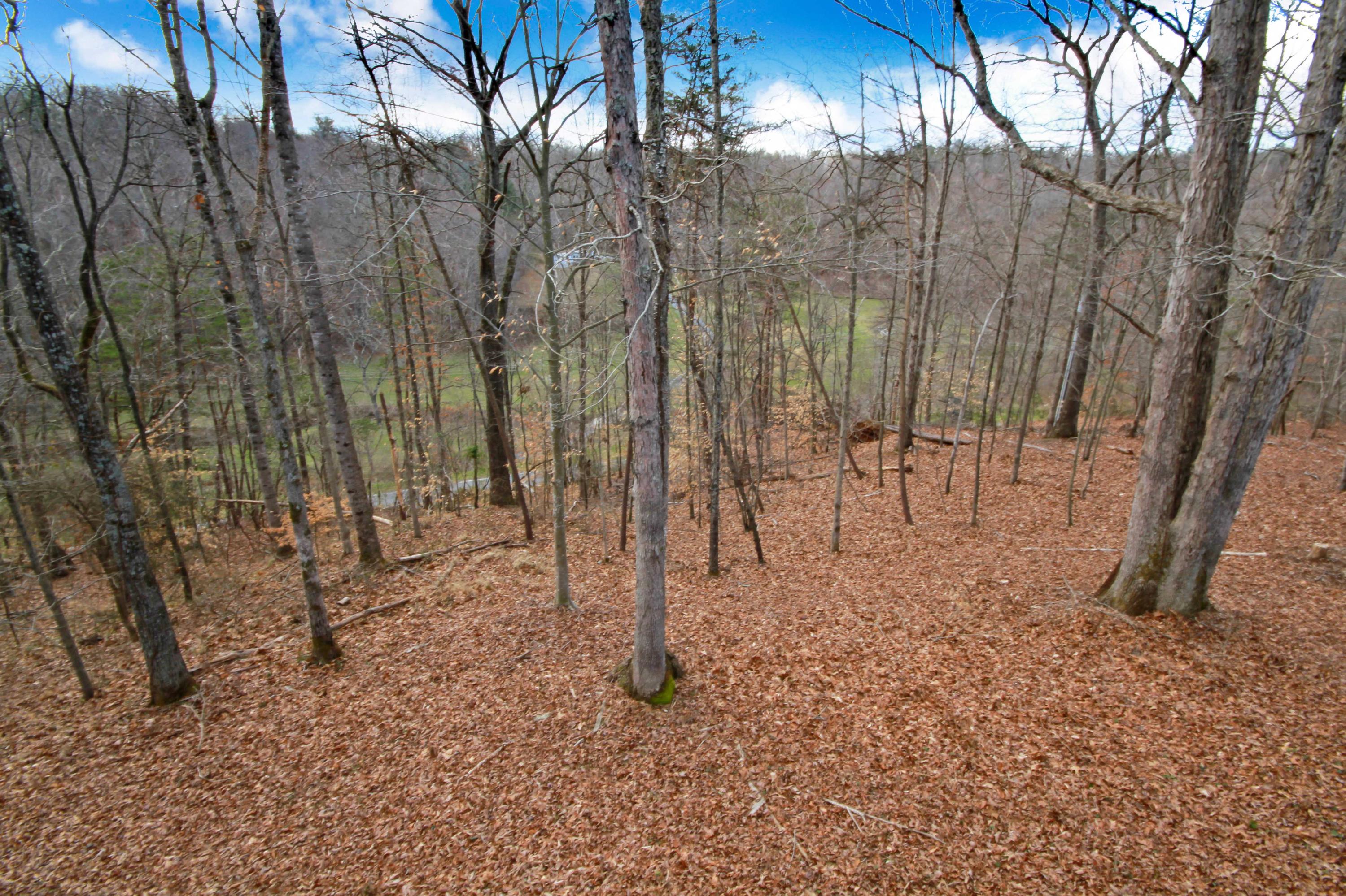 3355 Turner Branch Road Vinton, VA 24179 - Photo 43 of 58 Acreage