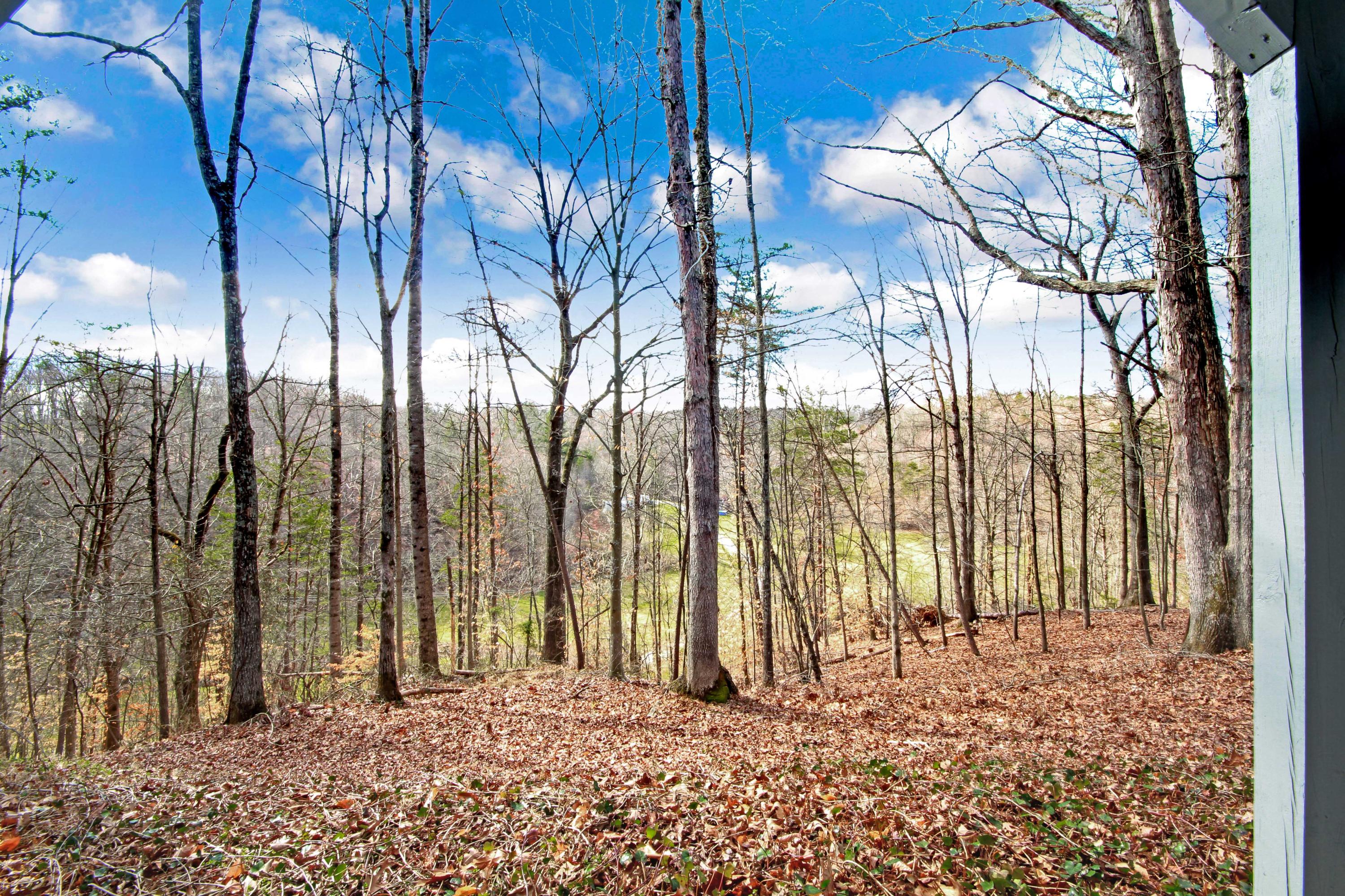 3355 Turner Branch Road Vinton, VA 24179 - Photo 49 of 58 a view of a backyard of the house