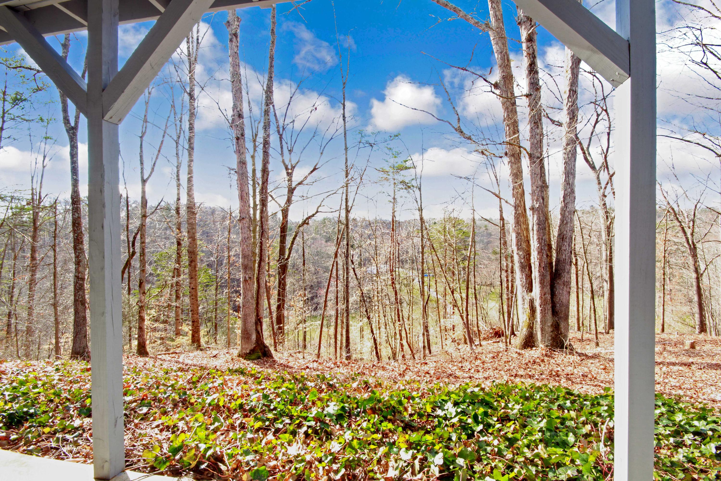 3355 Turner Branch Road Vinton, VA 24179 - Photo 50 of 58 a view of a pathway with a yard