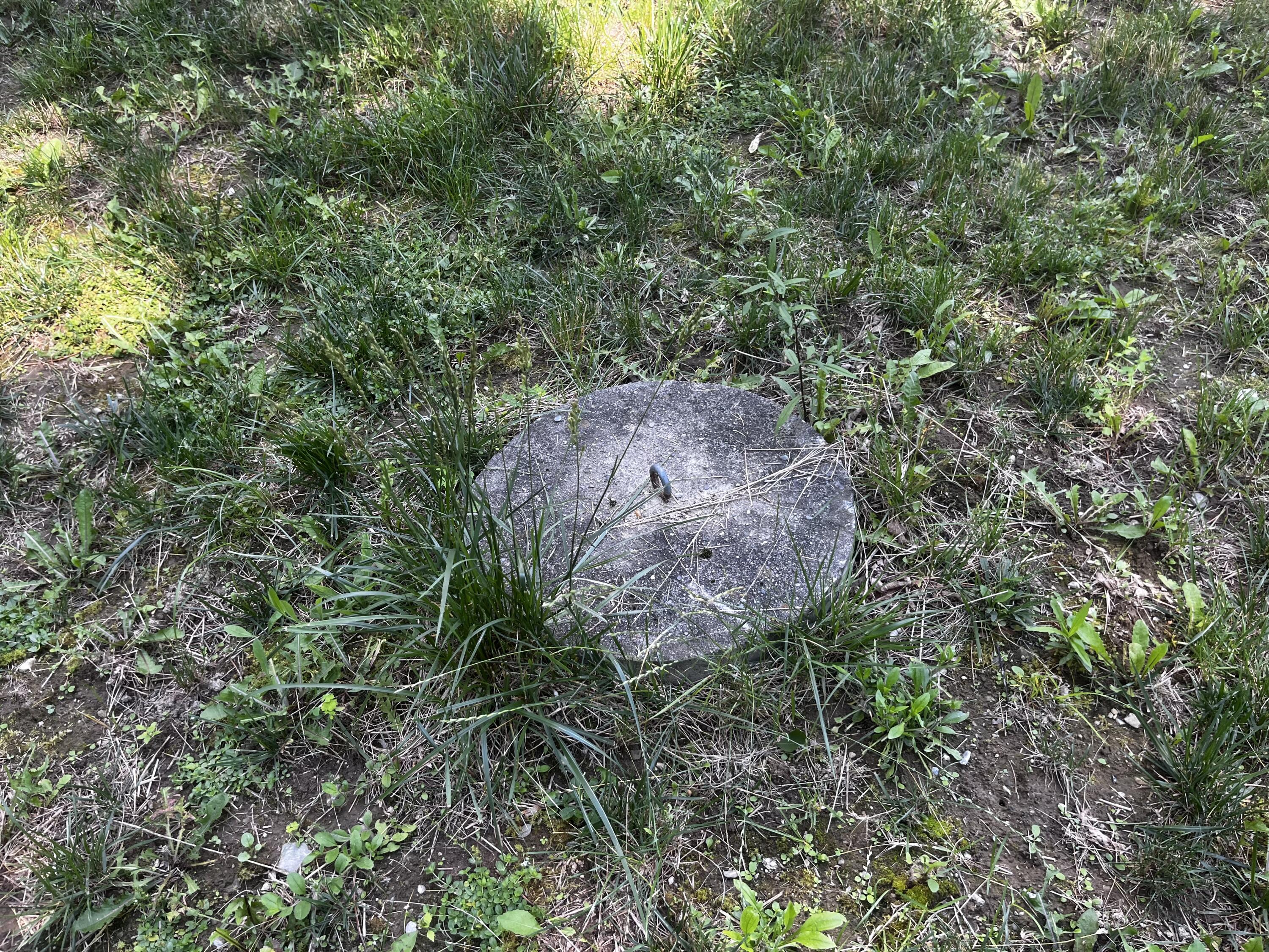 128 Old Airline Road Aurora, ME 04408 - Photo 71 of 74 Septic location