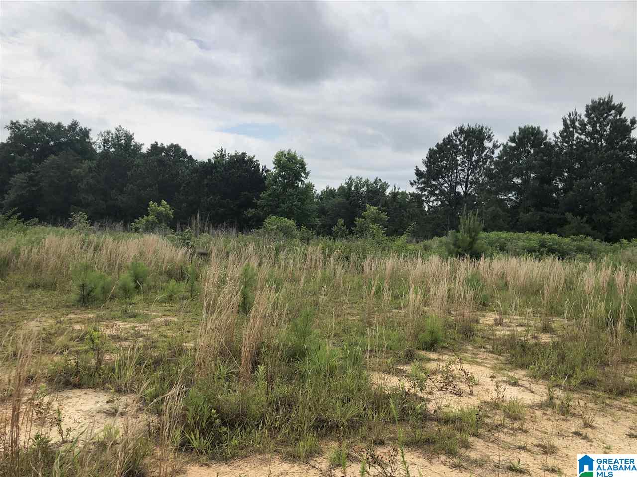 0 Maple Crest Lane Hayden, AL 35079 - Photo 12 of 30