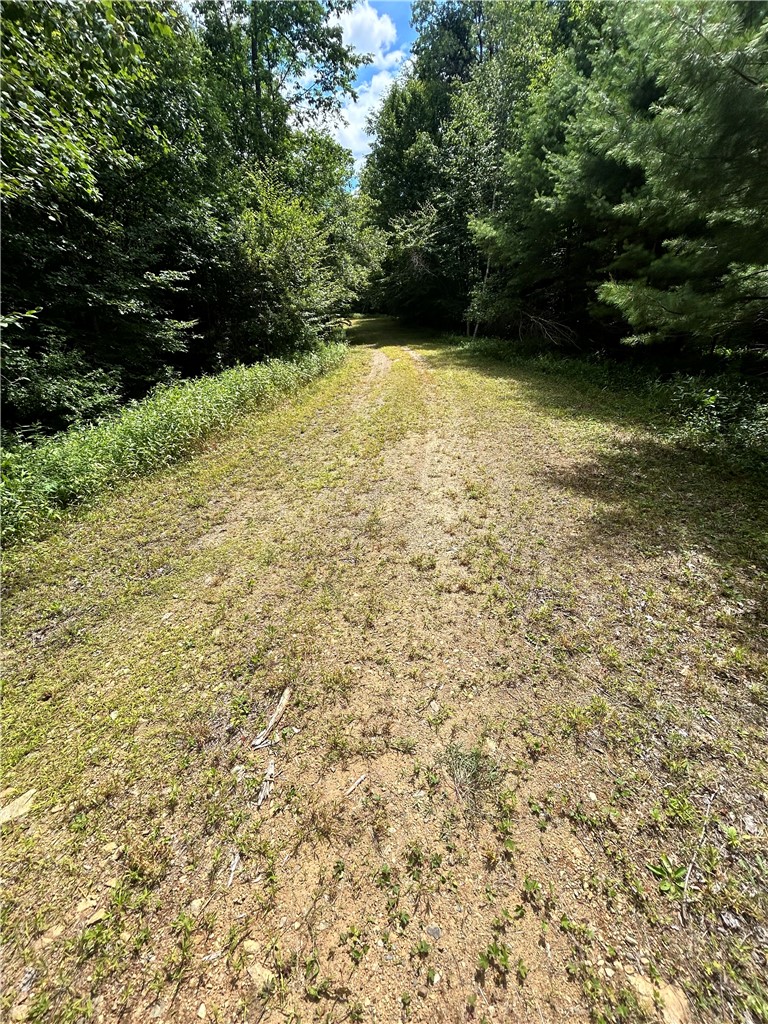 270 Collins-Gifford Valley Road Northampton, NY 12134 - Photo 9 of 26
