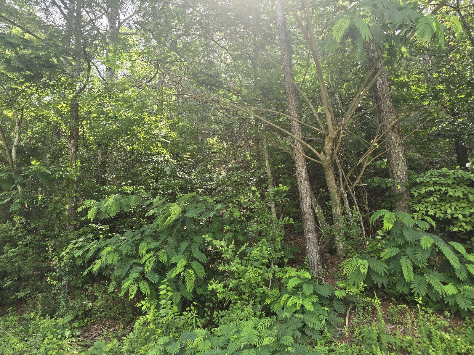 3312 Ridgeway Drive, Unit LOT 42 Cleveland, TN 37312 - Photo 5 of 5 1000004444
