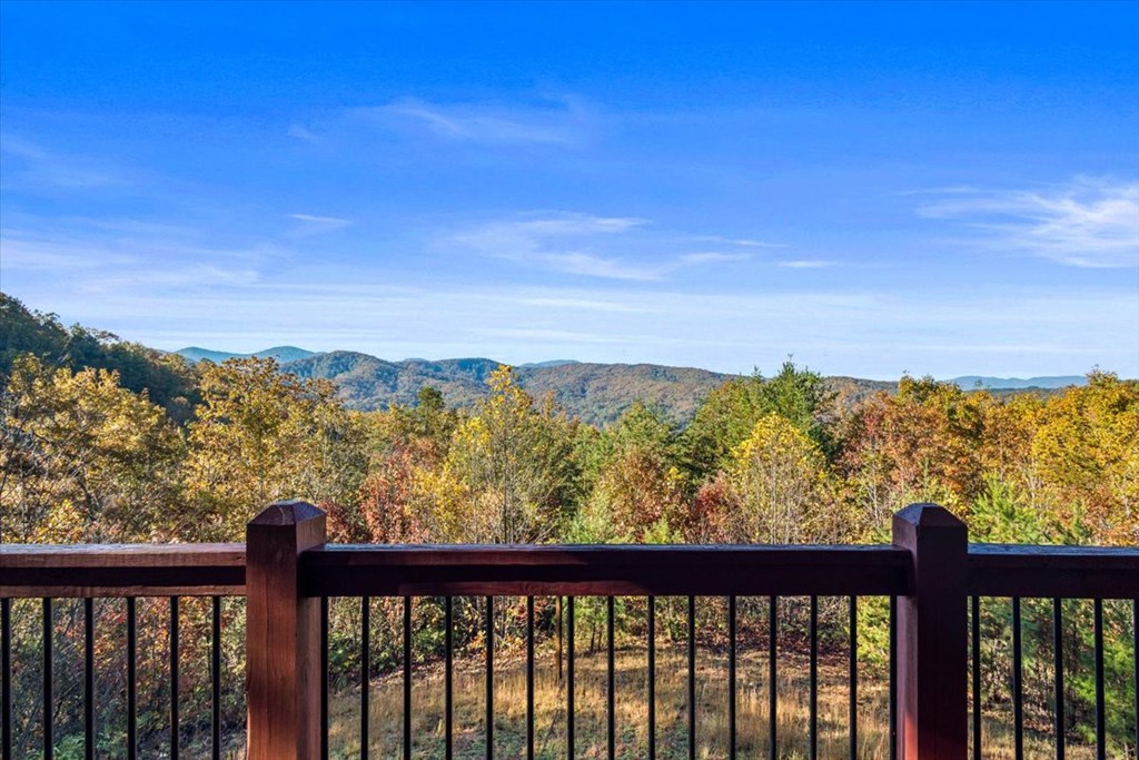 190 Regency Drive Murphy, NC 28906 - Photo 16 of 42 a view of a forest from a city view