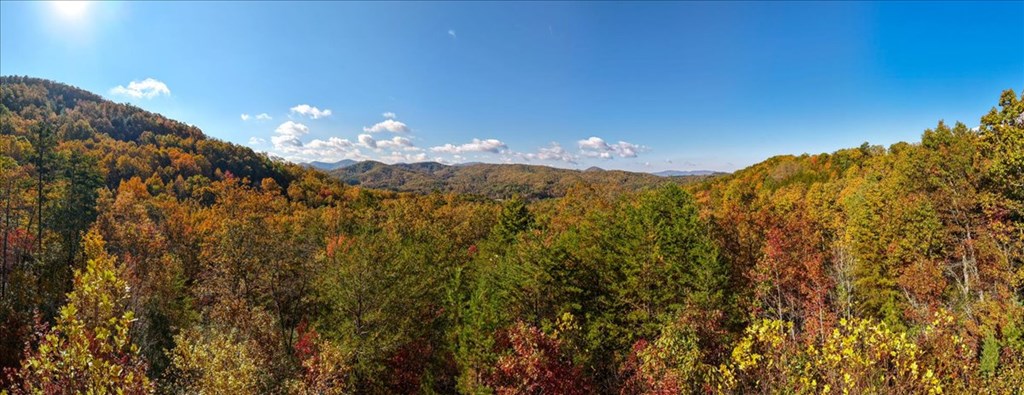190 Regency Drive Murphy, NC 28906 - Photo 4 of 42 a view of a houses with a street