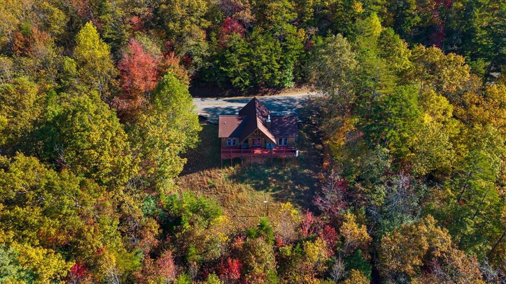 190 Regency Drive Murphy, NC 28906 - Photo 5 of 42 a view of outdoor space and garden