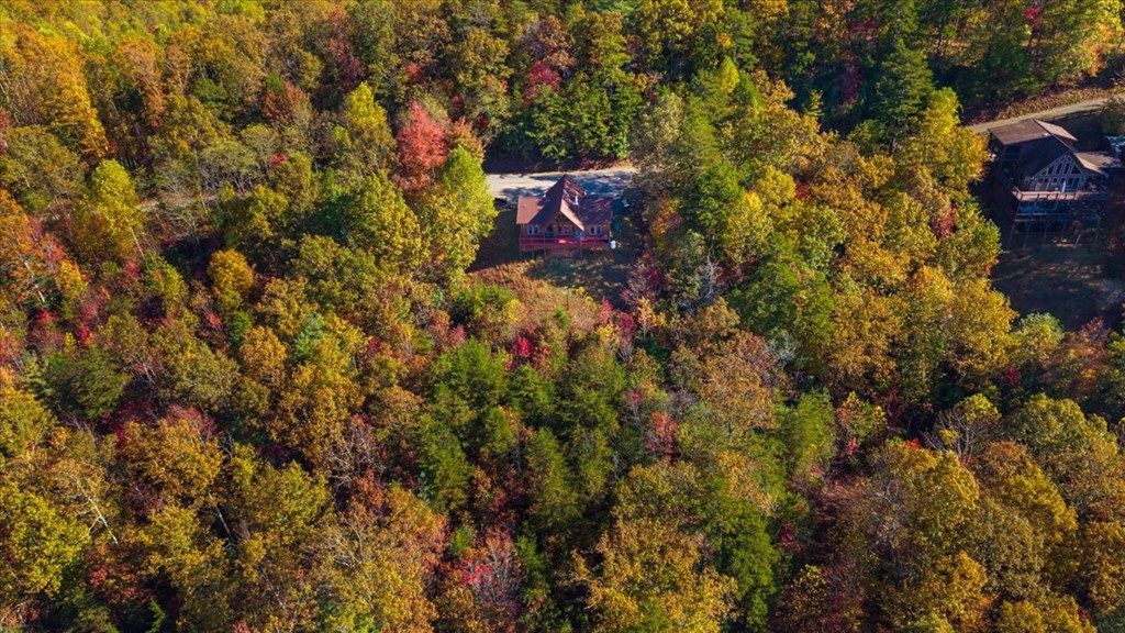 190 Regency Drive Murphy, NC 28906 - Photo 8 of 42 a view of a house with a tree
