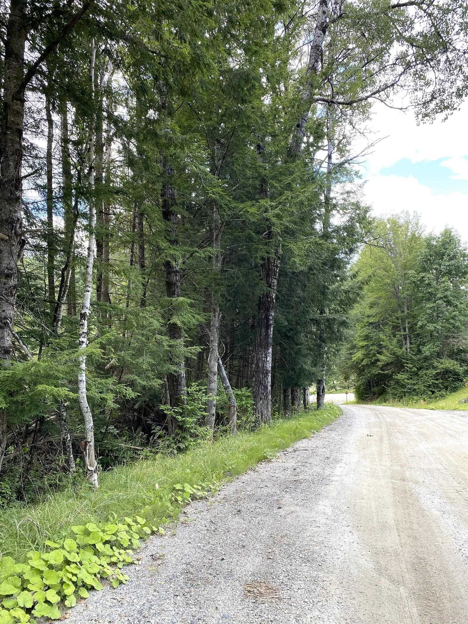 0 Collar Hill Road Worcester, VT 05682 - Photo 6 of 10