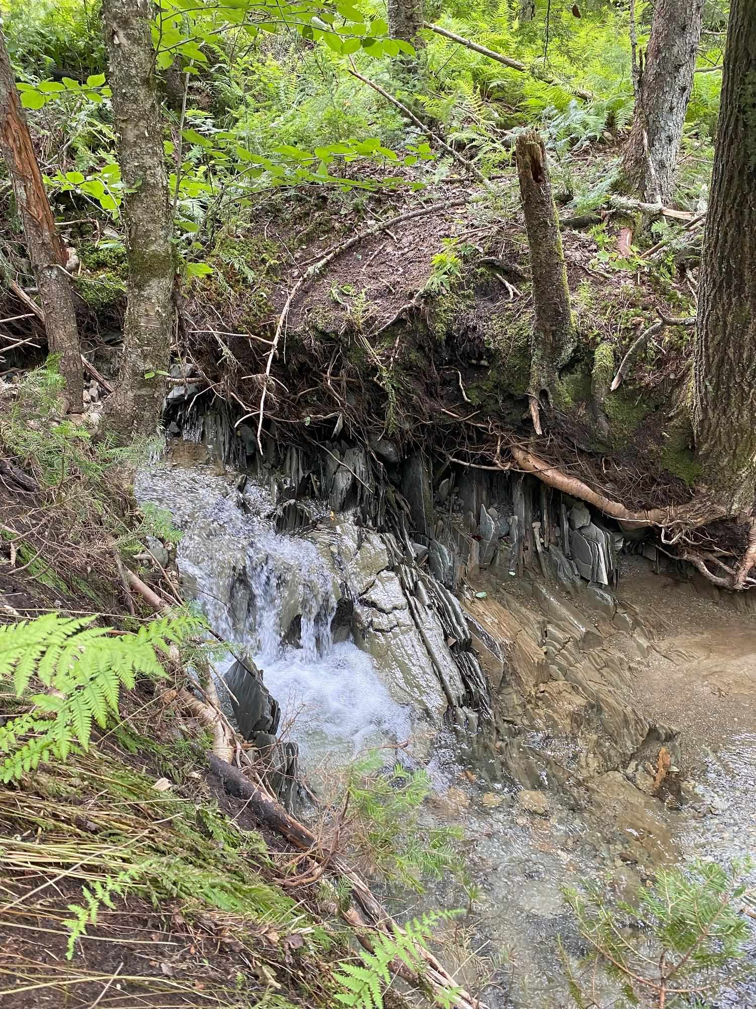 0 Collar Hill Road Worcester, VT 05682 - Photo 9 of 10