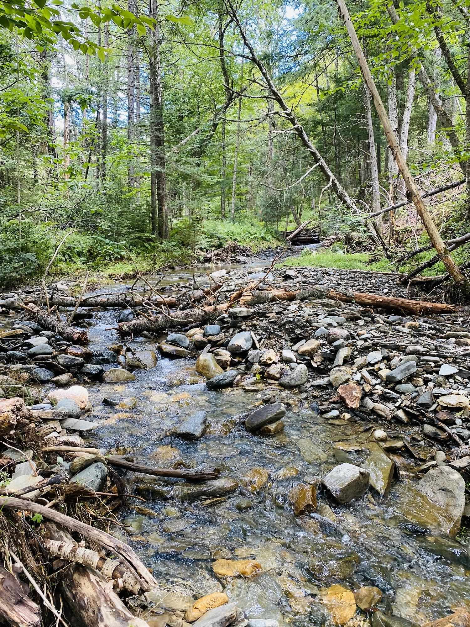0 Collar Hill Road Worcester, VT 05682 - Photo 10 of 10