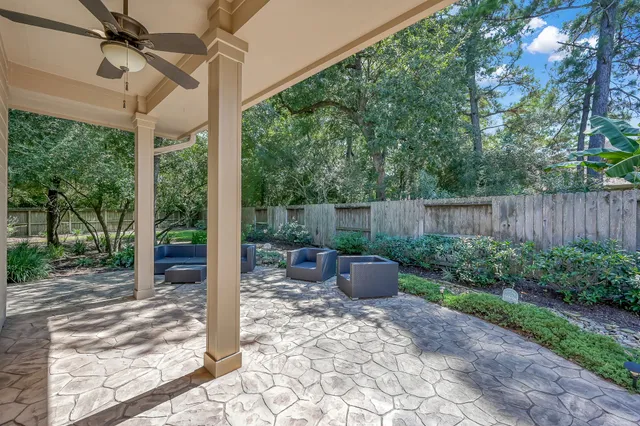a view of a backyard with potted plants and large tree