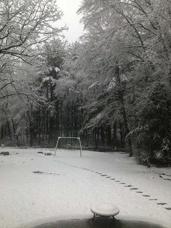 178 High Rock Street Needham, MA 02492 - Photo 36 of 42