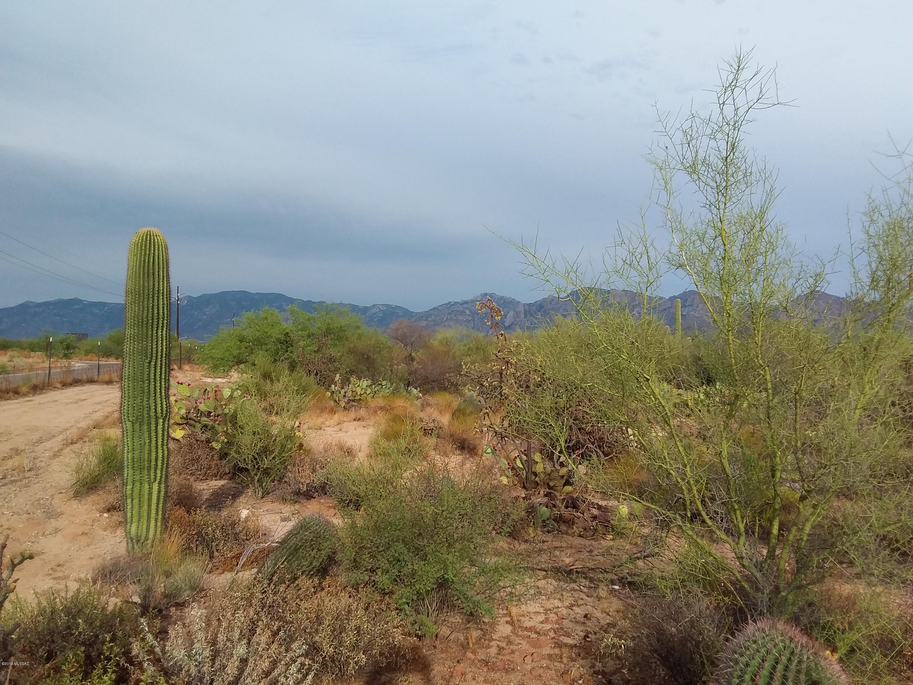 2315 West Tangerine Road Tucson, AZ 85742 - Photo 20 of 27