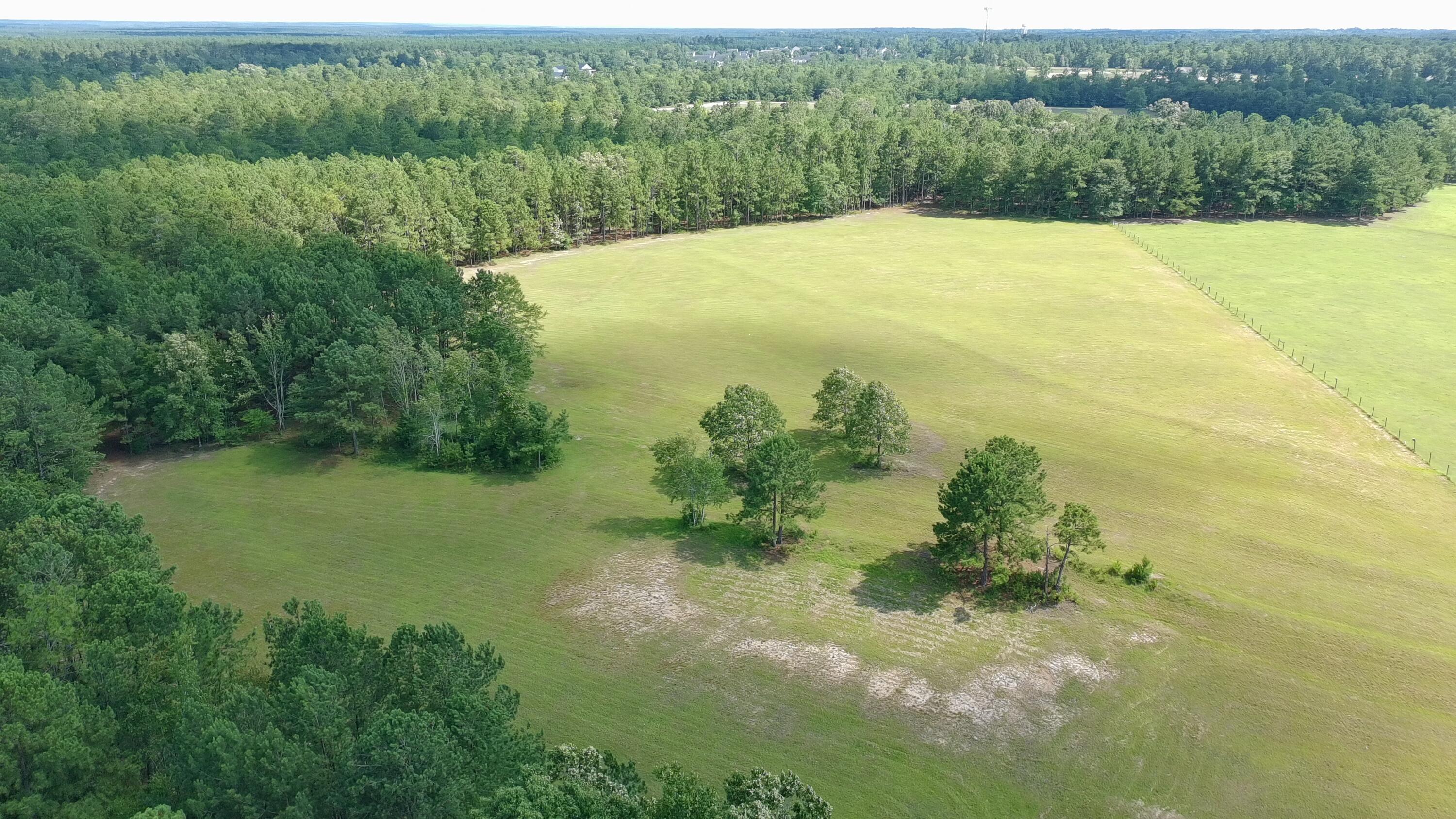 41-acres Whiskey Road Aiken, SC 29803 - Photo 18 of 44