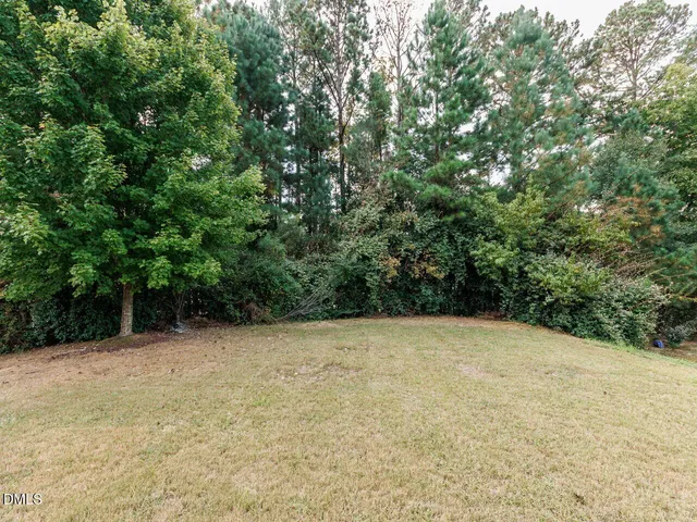 a view of a lake in middle of forest