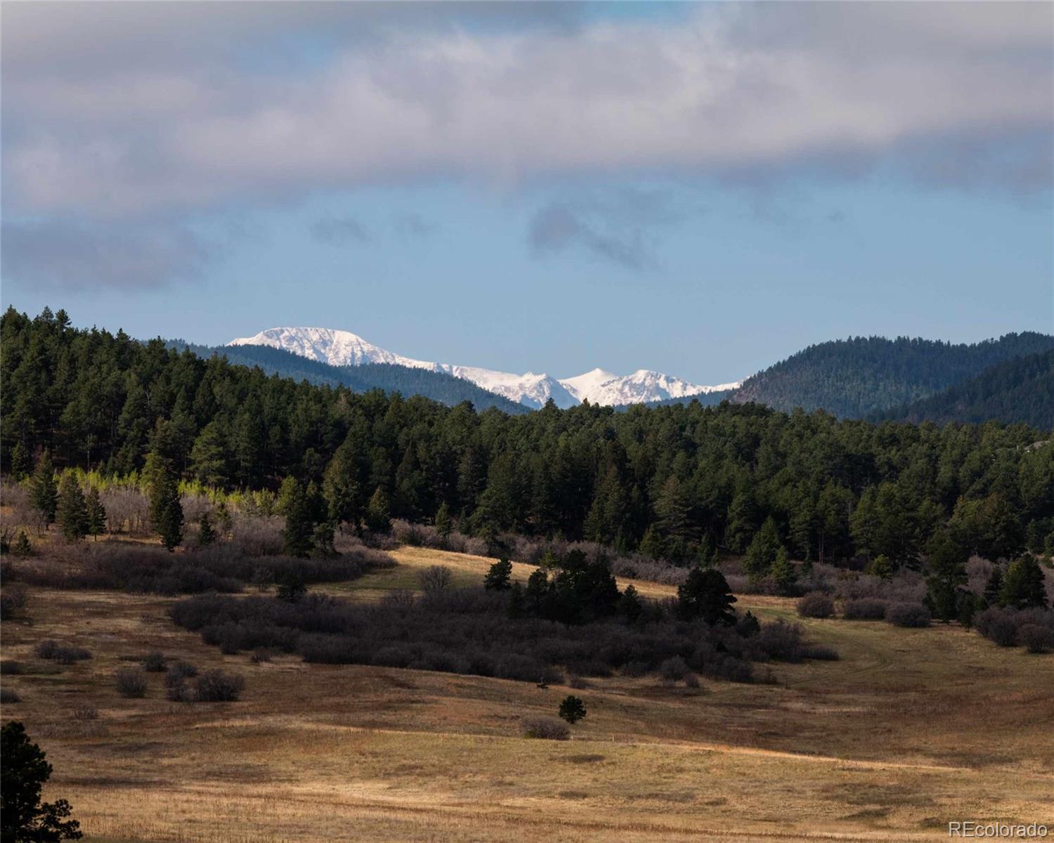 100 Noe Road Larkspur, CO 80118 - Photo 7 of 10