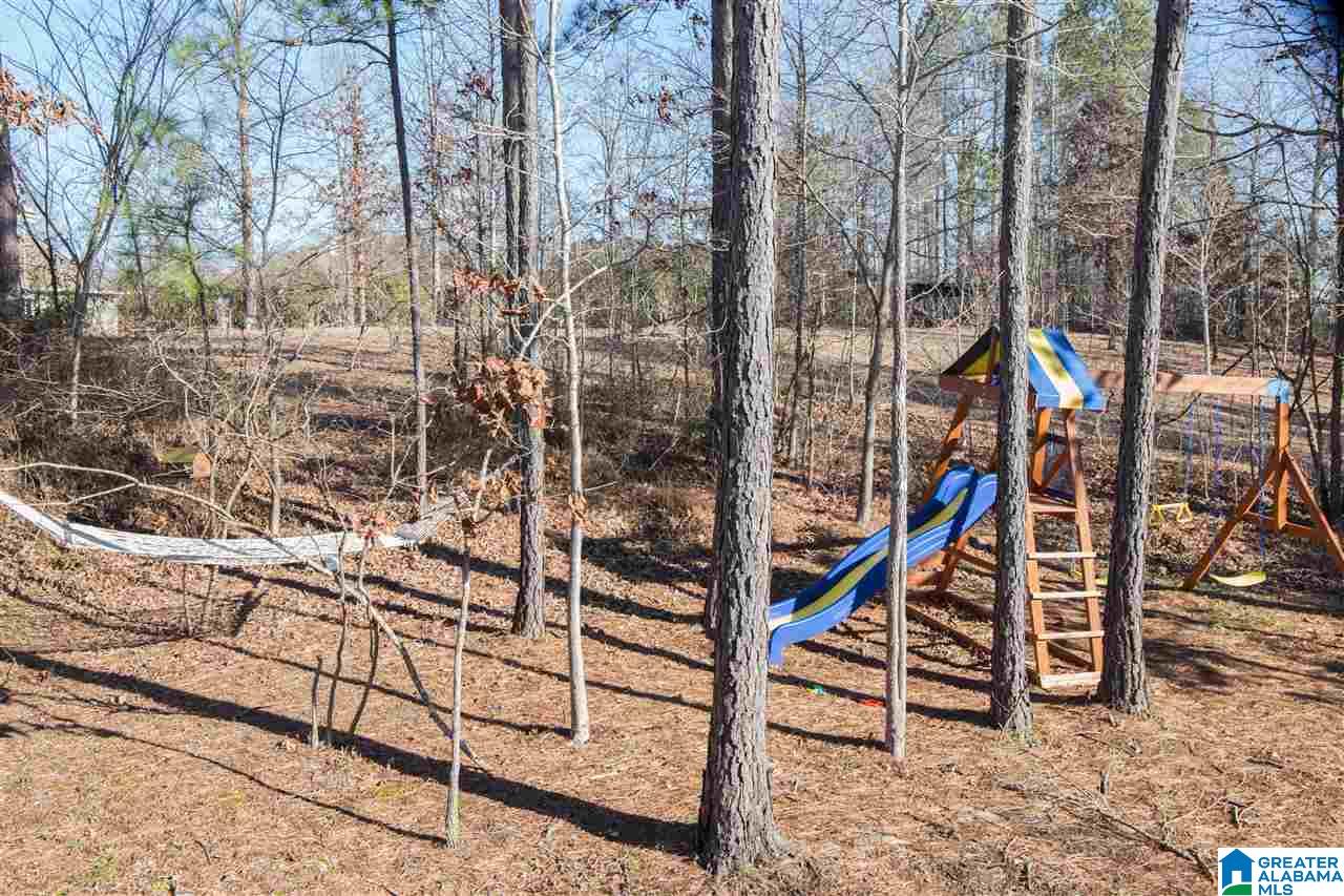 20370 Castle Rdg Road McCalla, AL 35111 - Photo 45 of 50