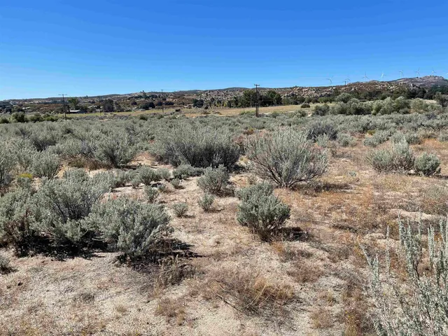 a view of a dry field covered with trees