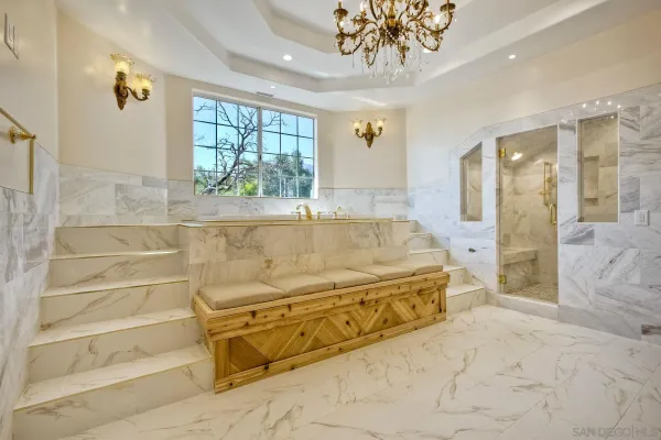 a bathroom with a shower and a toilet