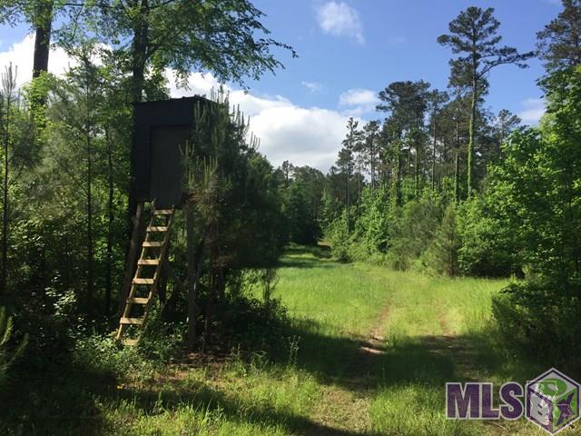 5002 Rocky Falls Road Hazlehurst, MS 39083 - Photo 1 of 5 Gallery Image 1