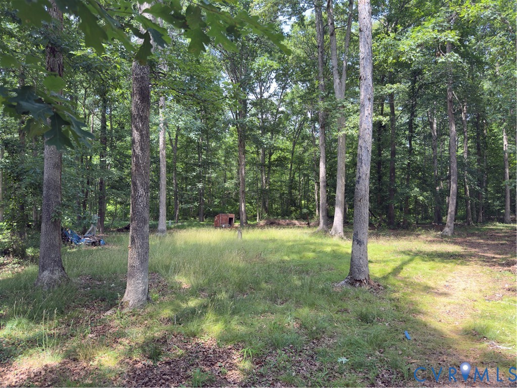 14216 Aldengate Road Midlothian, VA 23114 - Photo 3 of 22 Gallery Image 3