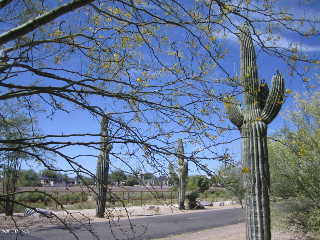 321 East Calderwood Road Tucson, AZ 85704 - Photo 22 of 31