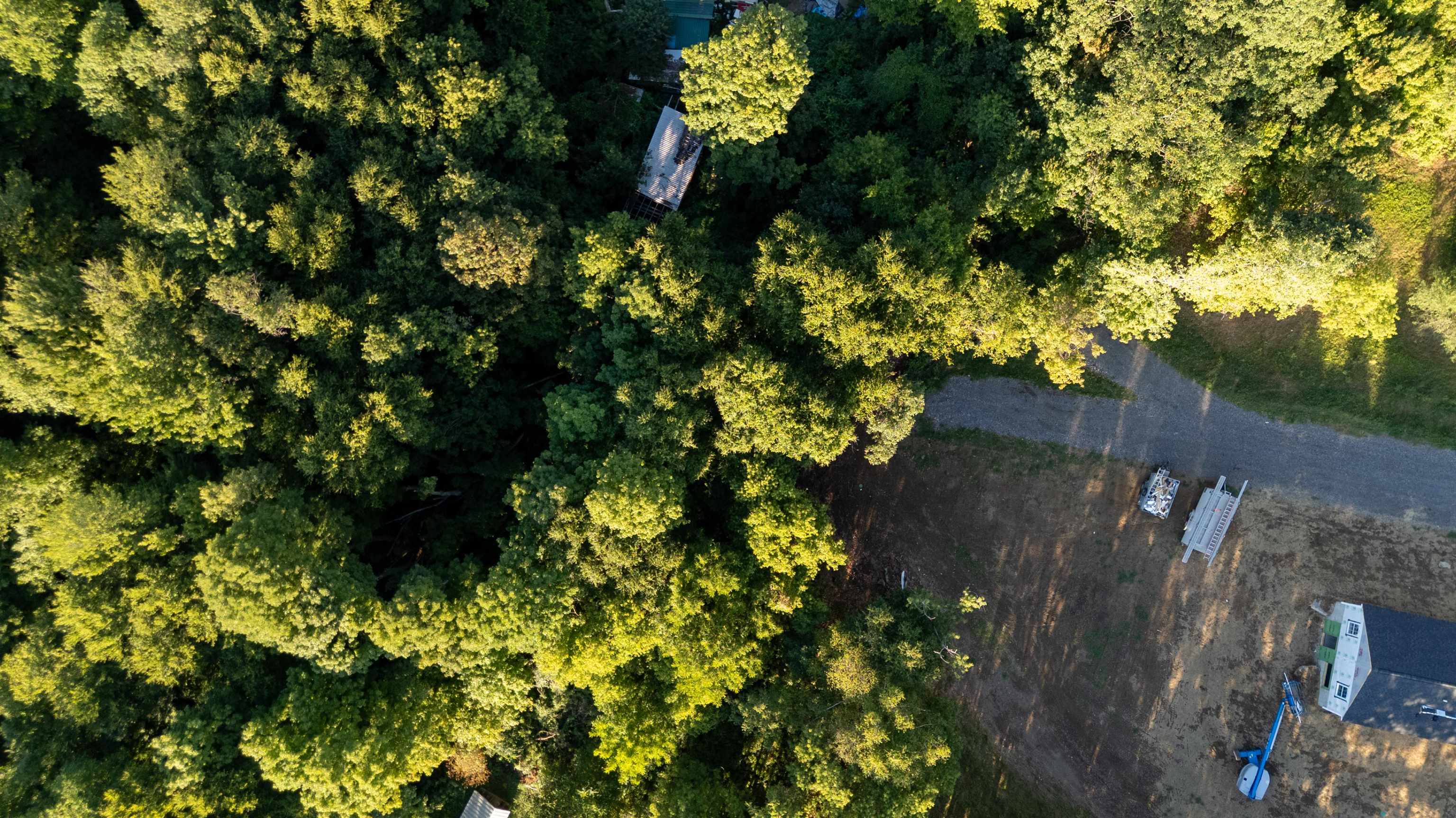 68 Pine Street Bristol, VT 05443 - Photo 5 of 13