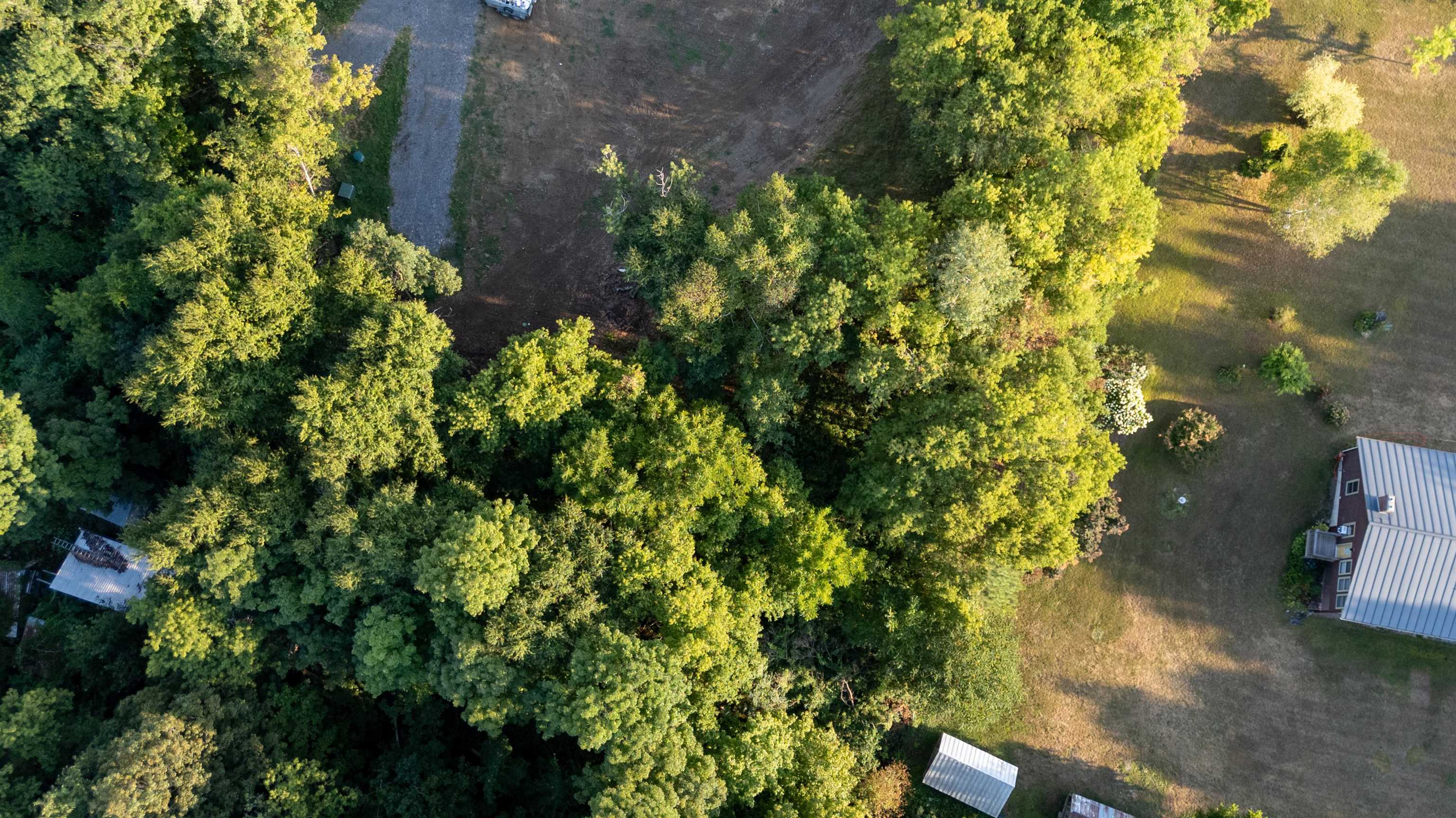 68 Pine Street Bristol, VT 05443 - Photo 7 of 13