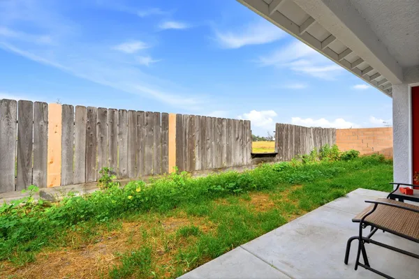 a view of a backyard with plants and a garden