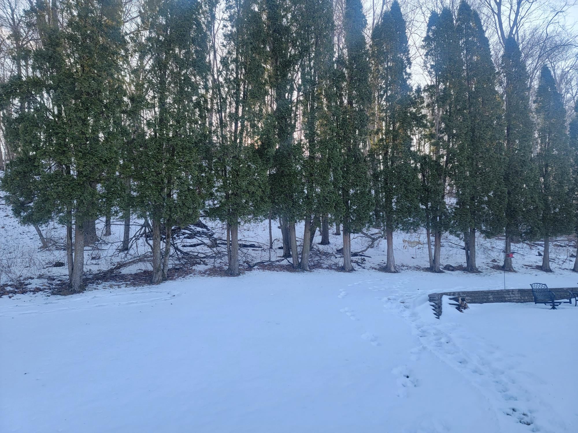 E3497 Croal Hollow Road Hillpoint, WI 53937 - Photo 35 of 67