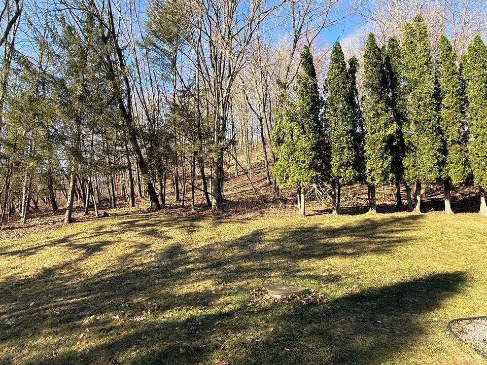 E3497 Croal Hollow Road Hillpoint, WI 53937 - Photo 49 of 67