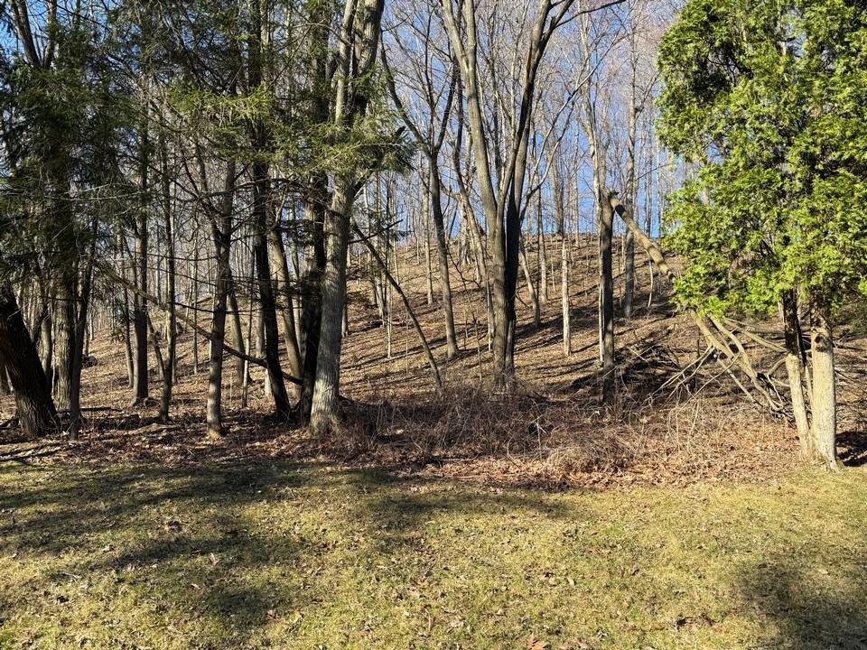 E3497 Croal Hollow Road Hillpoint, WI 53937 - Photo 51 of 67