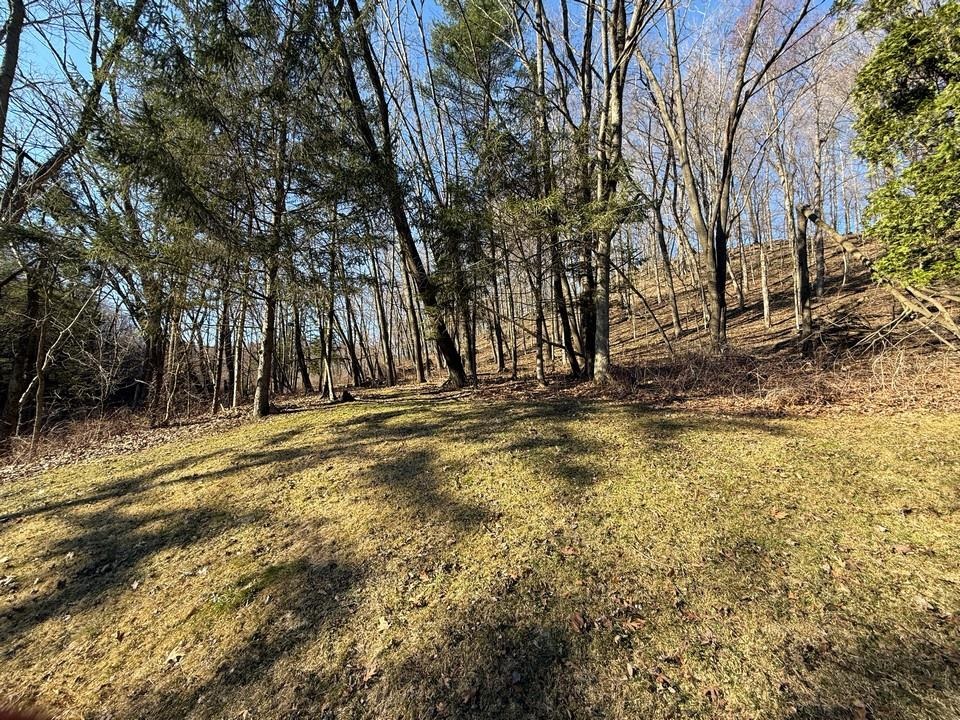 E3497 Croal Hollow Road Hillpoint, WI 53937 - Photo 52 of 67