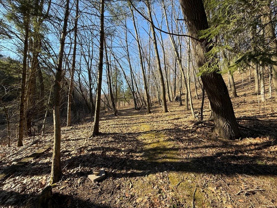 E3497 Croal Hollow Road Hillpoint, WI 53937 - Photo 54 of 67