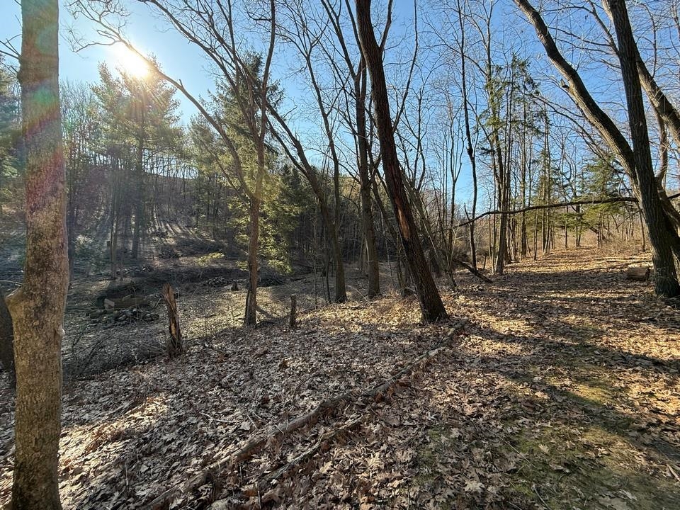 E3497 Croal Hollow Road Hillpoint, WI 53937 - Photo 55 of 67